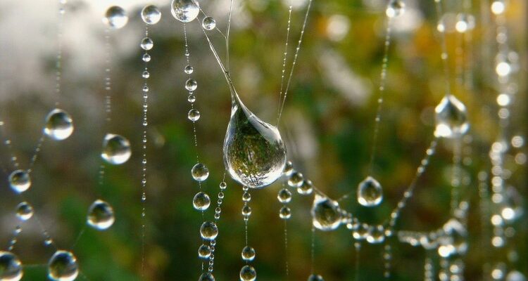 Що таке точка роси і як вона впливає на комфорт у приміщенні?