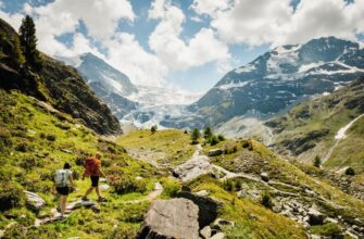 Що таке трекінг: порівняння з хайкінгом і детальні відмінності