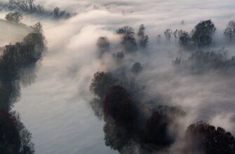 Туман: що це таке, як виникає і де найчастіше зустрічається?