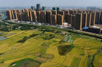 Урбанізація: Визначення, процеси та вплив на сучасні міста