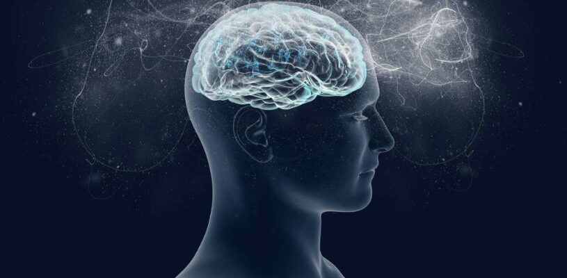 Вища нервова діяльність: адаптація та мислення в дії людини