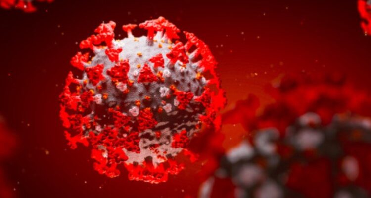 Що таке антитіла в крові: функції та важливість для імунітету