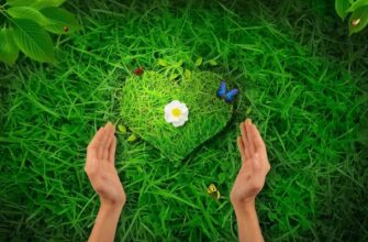 Що таке Благо: визначення, значення та роль у сучасному суспільстві