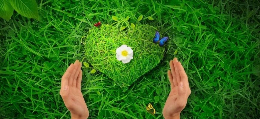 Що таке Благо: визначення, значення та роль у сучасному суспільстві