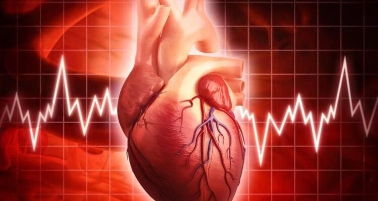 Брадикардія: причини, симптоми та методи діагностики серцевої патології