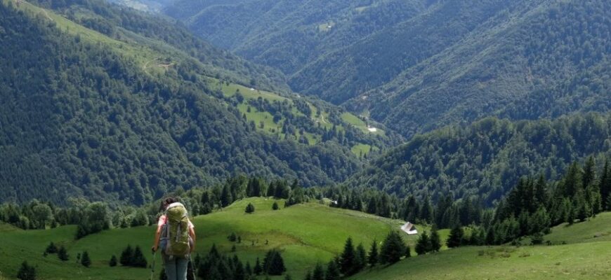 Буковина: Історія, культура та особливості цього унікального регіону