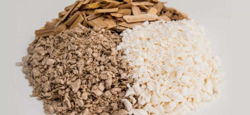 Целюлоза: визначення, властивості та використання для вашого здоров’я