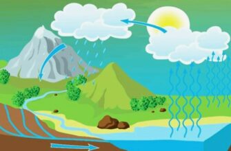 Цикли в програмуванні: визначення, види та практичне застосування