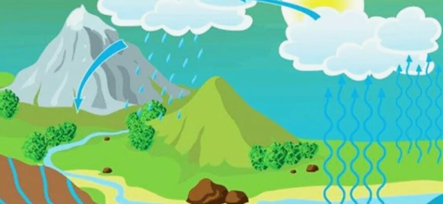 Цикли в програмуванні: визначення, види та практичне застосування