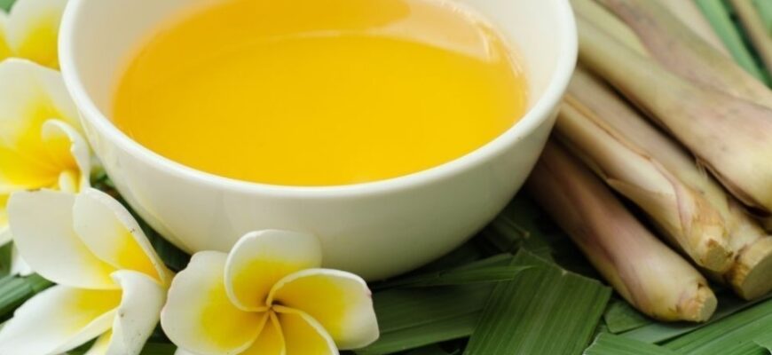 Цитронела: що це таке, користь та застосування рослини в побуті