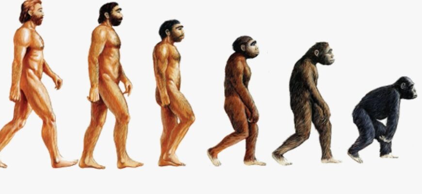 Відкриття причин та ознак деградації людини: як її уникнути?