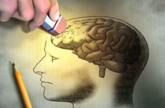 Деградація: що це таке, причини та наслідки явища для суспільства