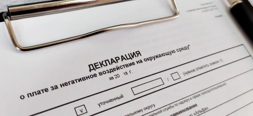 Декларація: Визначення, призначення та особливості оформлення в 2023 році