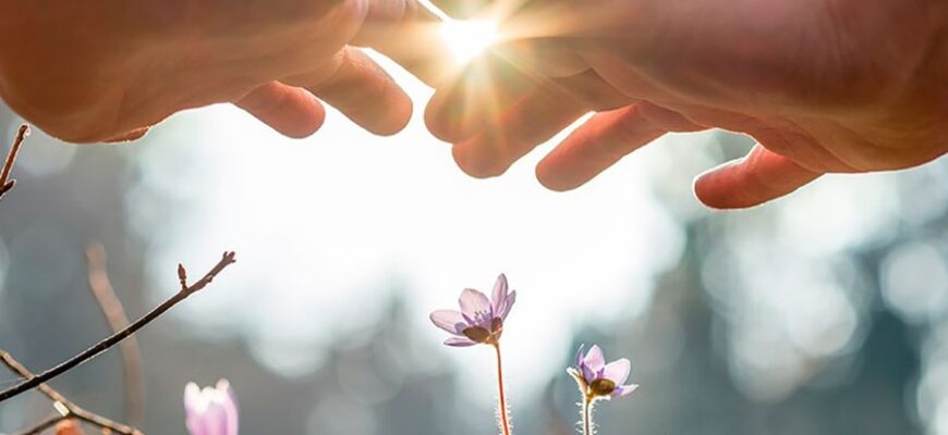 Відкрийте силу доброти: що таке доброта та як вона змінює світ?