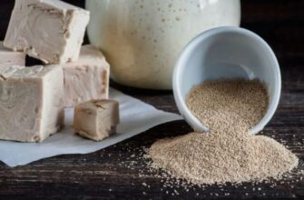 Що таке дріжджі: їх роль у випічці та користь для здоров’я