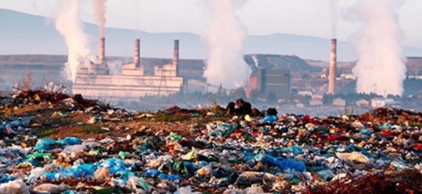 Екологічні проблеми: причини, види та їхні наслідки для планети