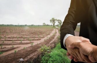 Емфітевзис: що це таке і як працює в українському законодавстві