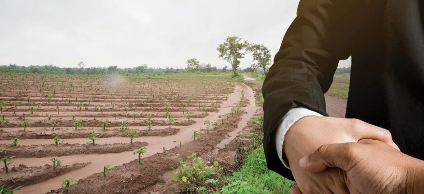 Емфітевзис: що це таке і як працює в українському законодавстві