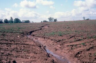 Що таке ерозія ґрунтів: причини, наслідки та шляхи запобігання