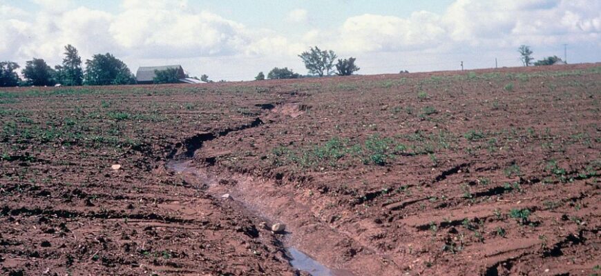 Що таке ерозія ґрунтів: причини, наслідки та шляхи запобігання