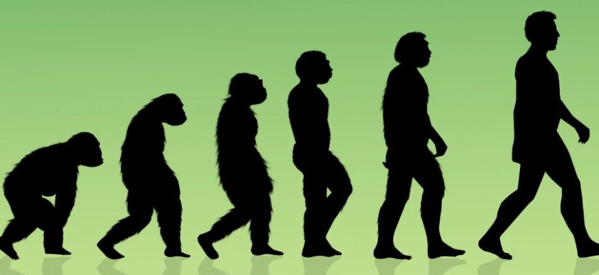 Еволюція: Визначення, механізми та значення в природі та науці