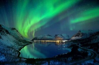 Феномен: визначення, особливості та значення в сучасному світі