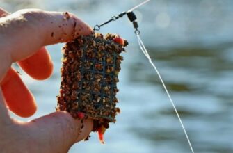 Фідер: Все, що потрібно знати про вид риболовлі для початківців