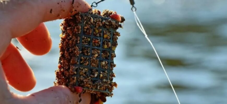 Фідер: Все, що потрібно знати про вид риболовлі для початківців