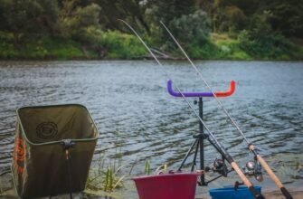 Фідерна рибалка: керівництво для початківців та досвідчених рибалок