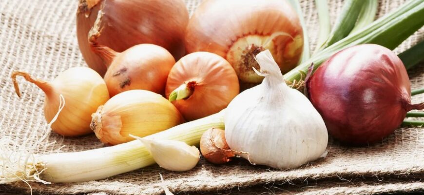 Фітонциди: Що це таке та як вони впливають на наше здоров’я? Фітонциди: Що це таке та як вони впливають на наше здоров’я?