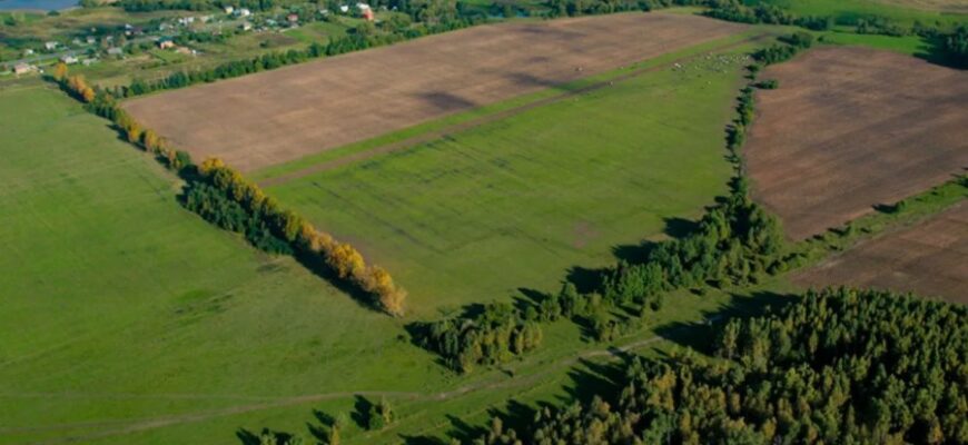 Що таке гектар: визначення, розміри та важливість у землеробстві