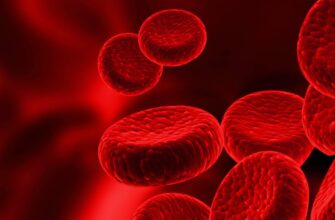 Що таке гемоглобін: Роль та функції у крові для вашого здоров’я