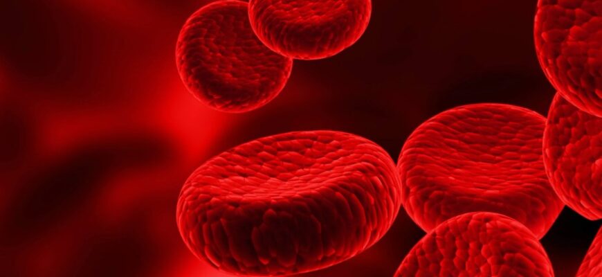 Що таке гемоглобін: Роль та функції у крові для вашого здоров’я