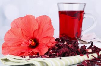 Каркаде: користь, приготування і властивості популярного напою