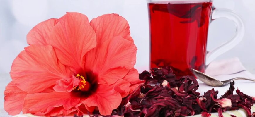 Каркаде: користь, приготування і властивості популярного напою