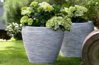 Що таке кашпо: функції, переваги та поради з вибору для вашої оселі