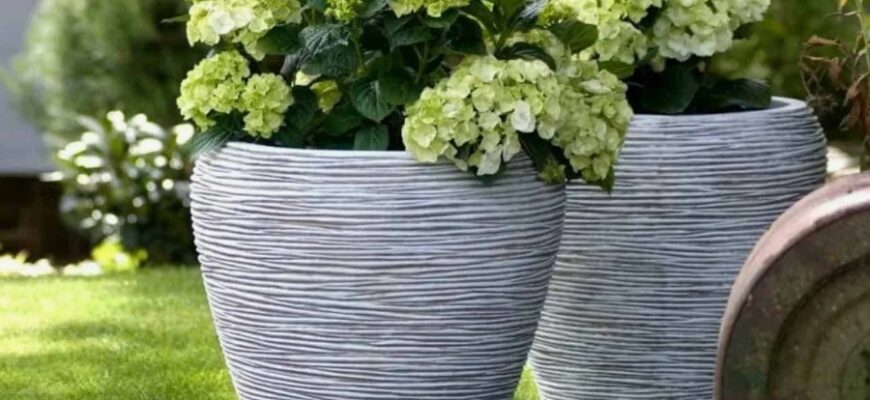 Що таке кашпо: функції, переваги та поради з вибору для вашої оселі