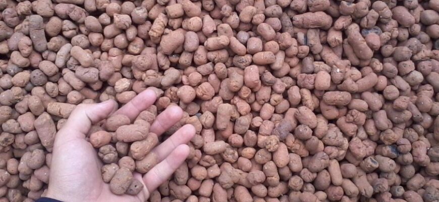 Керамзит: Властивості, Застосування та Переваги для Будівництва