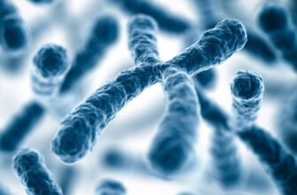 Хромосоми: Основи будови, роль у спадковості та життєвих процесах