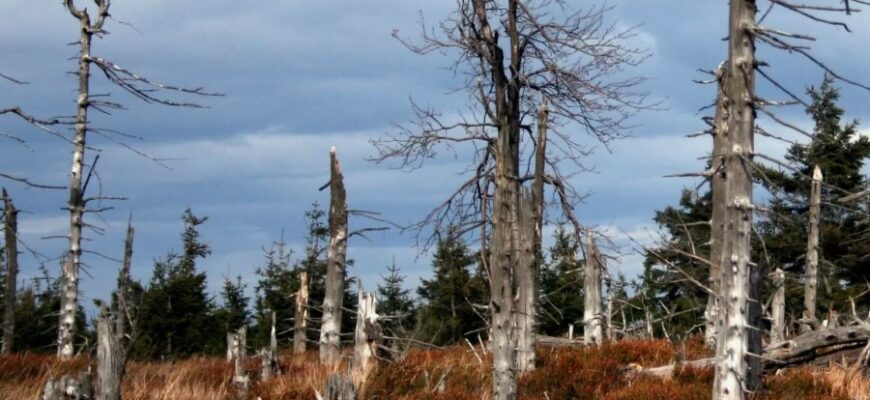 Кислотні дощі: вплив на екосистеми і методи боротьби з ними