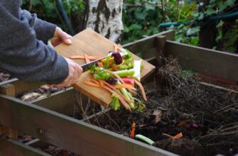 Компост: що це таке, як виготовити та чому він важливий для ґрунту