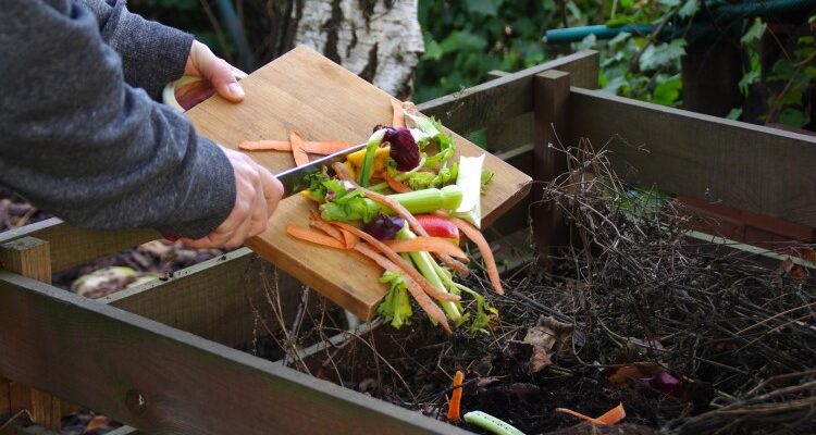 Компост: що це таке, як виготовити та чому він важливий для ґрунту