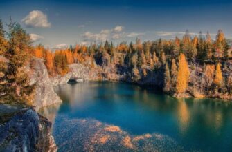 Корелія: Визначення, основні аспекти та вплив на життя людей