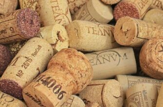 Що таке корок і чому він важливий: повний гід для новачків