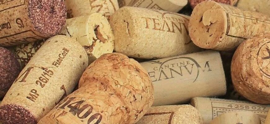 Що таке корок і чому він важливий: повний гід для новачків