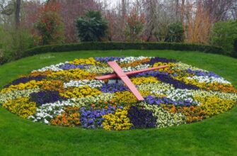 Що таке квітковий годинник: історія, принципи роботи та застосування