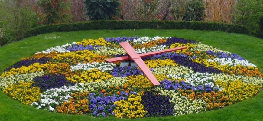 Що таке квітковий годинник: історія, принципи роботи та застосування