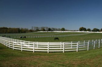 Левада: визначення, значення та особливості використання в Україні