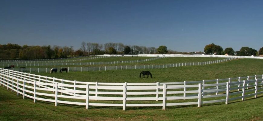 Левада: визначення, значення та особливості використання в Україні