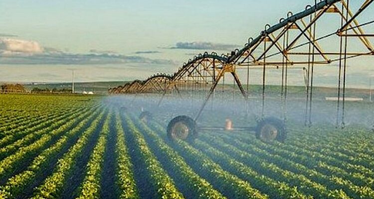 Меліорація: сутність, види та значення в аграрному секторі України